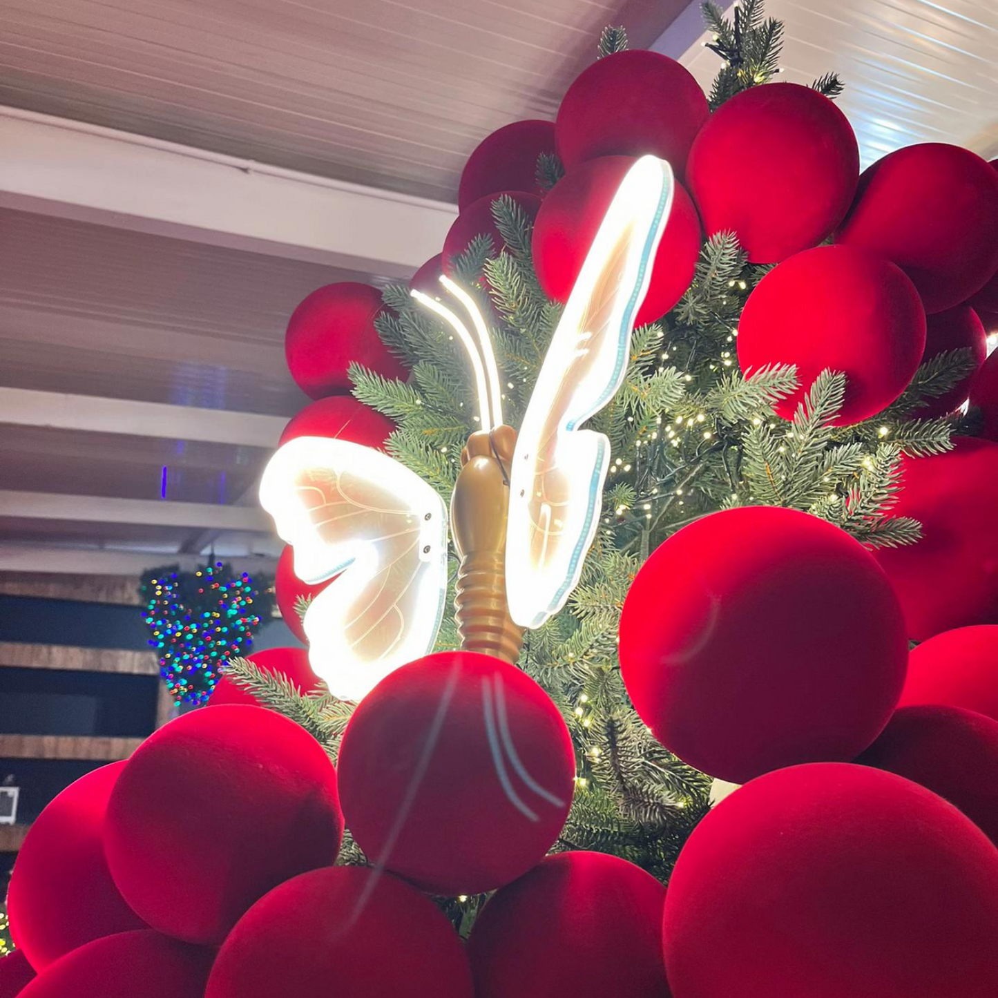 Farfalla Led Xmas Light